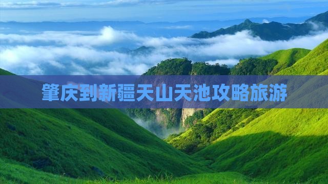 肇庆到新疆天山天池个人游