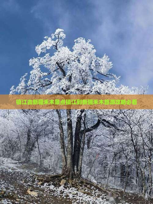 镇江去新疆禾木景点
