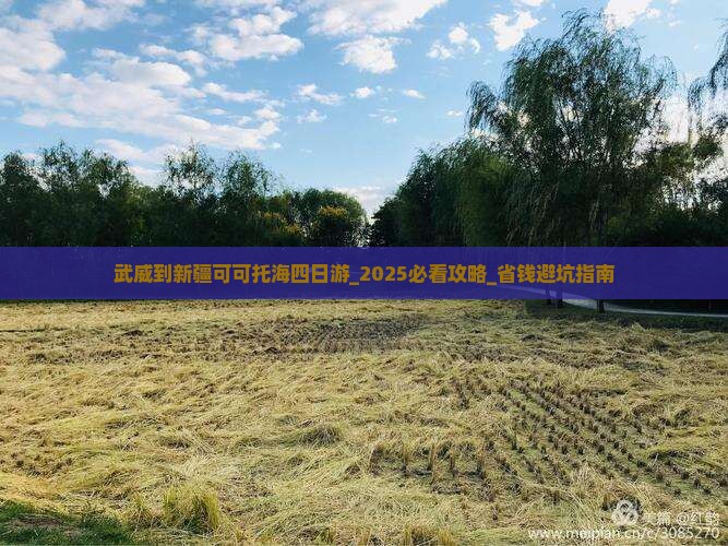 武威到新疆可可托海四日游
