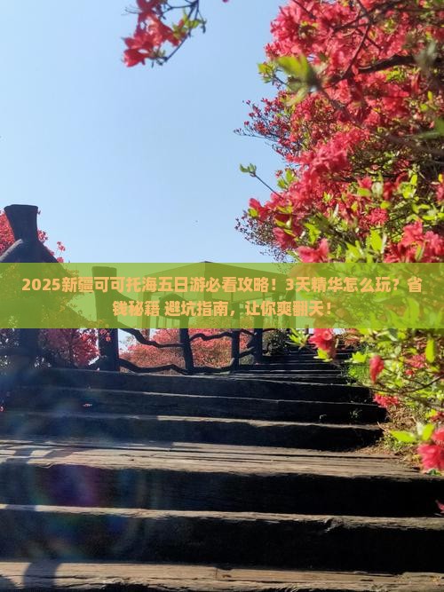 日照去新疆可可托海五日游