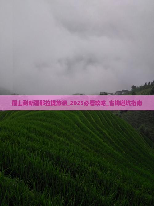眉山到新疆那拉提旅游