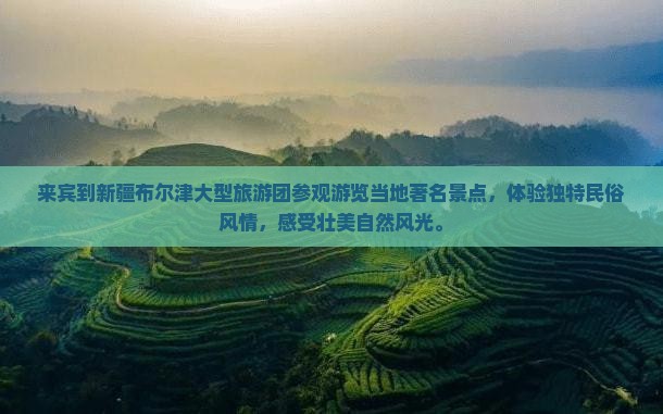 来宾到新疆布尔津大型旅游团