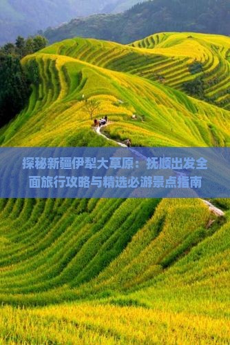 探秘新疆伊犁大草原：抚顺出发全面旅行攻略与精选必游景点指南