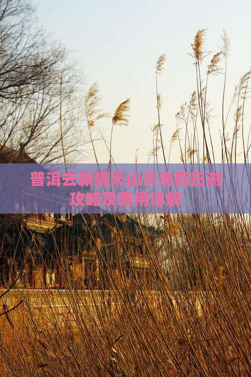 普洱去新疆天山天池四日游攻略及费用详解