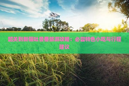 韶关到新疆吐鲁番旅游攻略：必尝特色小吃与行程建议