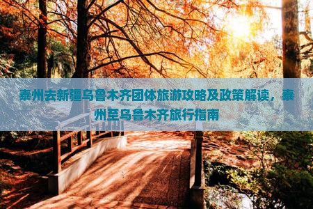 泰州去新疆乌鲁木齐团体旅游攻略及政策解读，泰州至乌鲁木齐旅行指南