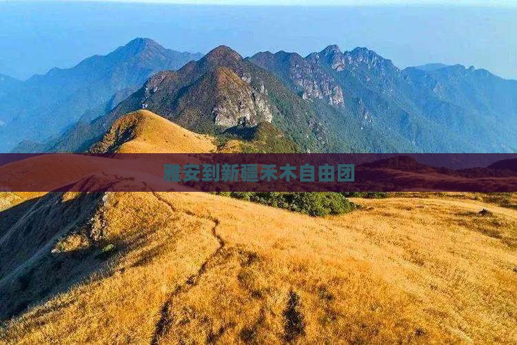 雅安到新疆禾木自由团