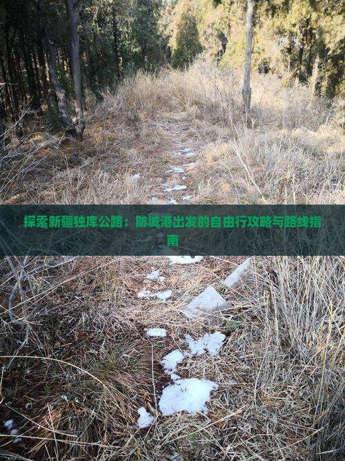 探索新疆独库公路：防城港出发的自由行攻略与路线指南