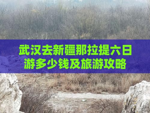 武汉去新疆那拉提六日游多少钱及旅游攻略