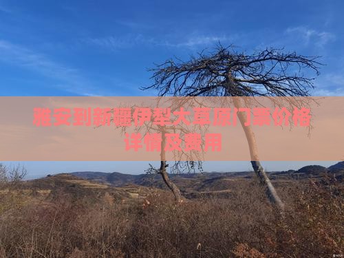 雅安到新疆伊犁大草原门票价格详情及费用
