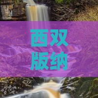 西双版纳去新疆可可托海七日游攻略