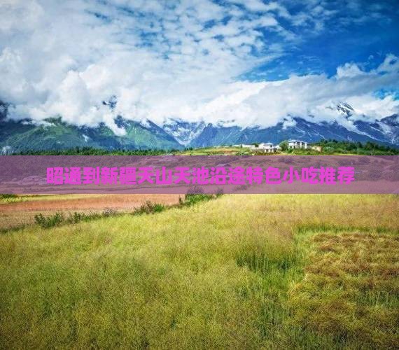 昭通到新疆天山天池沿途特色小吃推荐