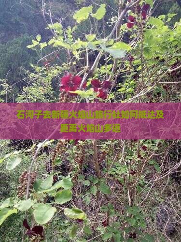 石河子去新疆火焰山旅行社如何抵达及距离火焰山多远