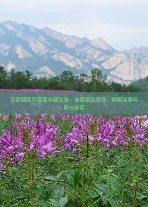 菏泽到新疆赛里木湖攻略：自驾游及路线、伊犁距离与时长指南