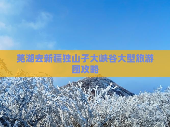 芜湖去新疆独山子大峡谷大型旅游团攻略