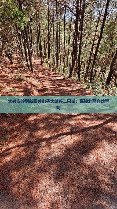 大兴安岭到新疆独山子大峡谷二日游：探秘壮丽自然景观