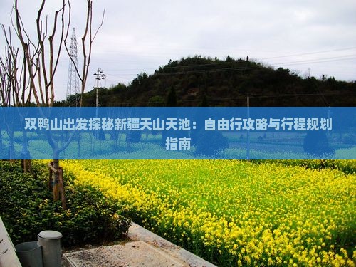 双鸭山出发探秘新疆天山天池：自由行攻略与行程规划指南