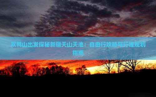 双鸭山出发探秘新疆天山天池：自由行攻略与行程规划指南
