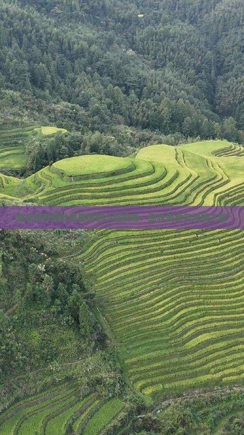 淮北到新疆吐鲁番旅游小吃攻略：品味美食与风情之旅