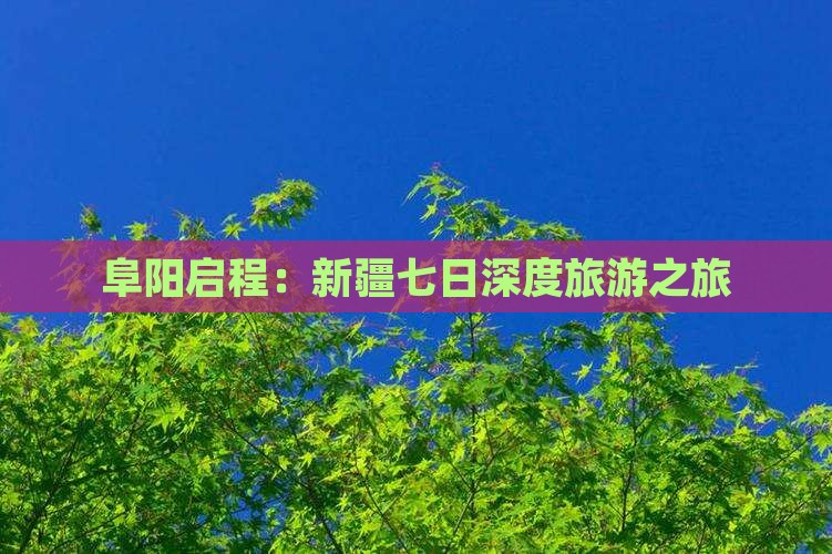 阜阳启程：新疆七日深度旅游之旅