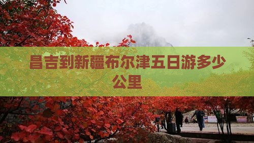昌吉到新疆布尔津五日游多少公里