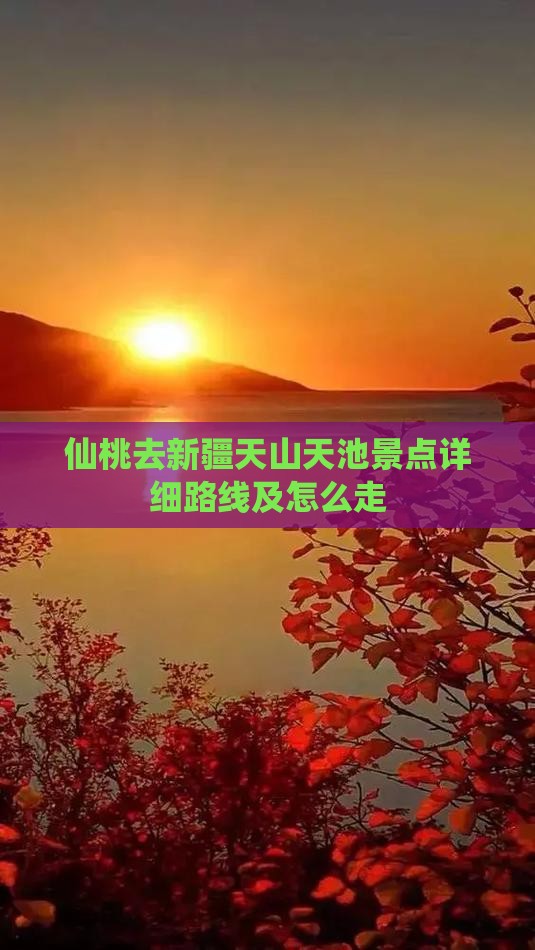 仙桃去新疆天山天池景点详细路线及怎么走