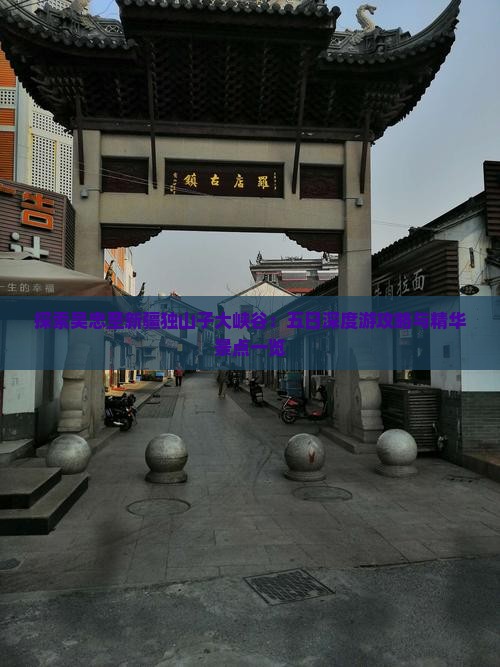 探索吴忠至新疆独山子大峡谷：五日深度游攻略与精华景点一览