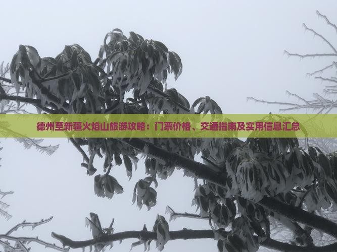 德州至新疆火焰山旅游攻略：门票价格、交通指南及实用信息汇总
