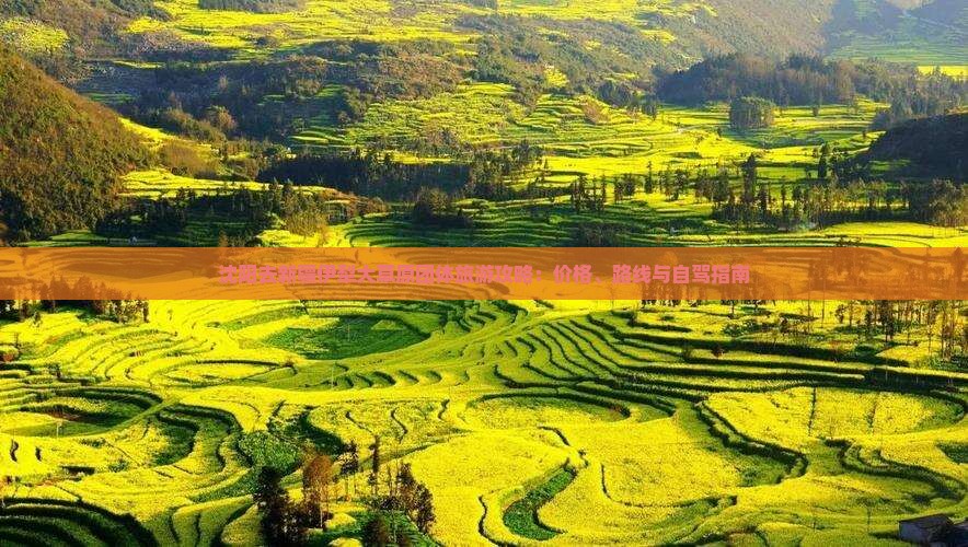 沈阳去新疆伊犁大草原团体旅游攻略：价格、路线与自驾指南