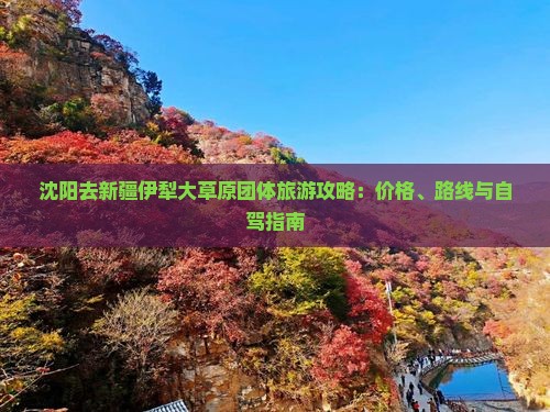 沈阳去新疆伊犁大草原团体旅游攻略：价格、路线与自驾指南