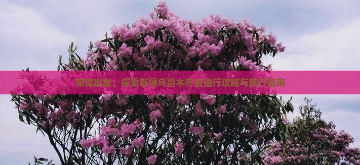 常德出发：探索新疆乌鲁木齐自由行攻略与旅行指南