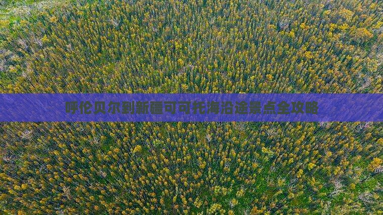 呼伦贝尔到新疆可可托海沿途景点全攻略
