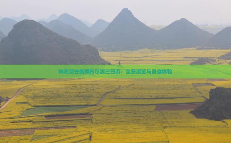 神农架去新疆布尔津三日游：全景游览与美食体验