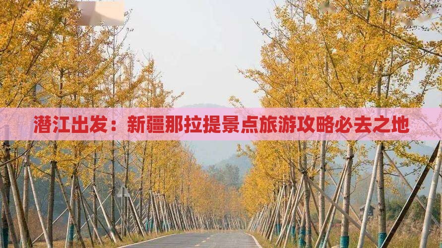 潜江出发：新疆那拉提景点旅游攻略必去之地