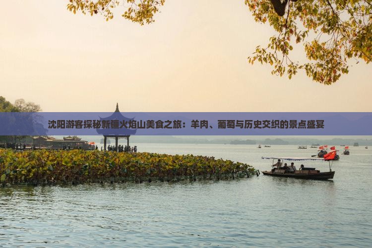 沈阳游客探秘新疆火焰山美食之旅：羊肉、葡萄与历史交织的景点盛宴