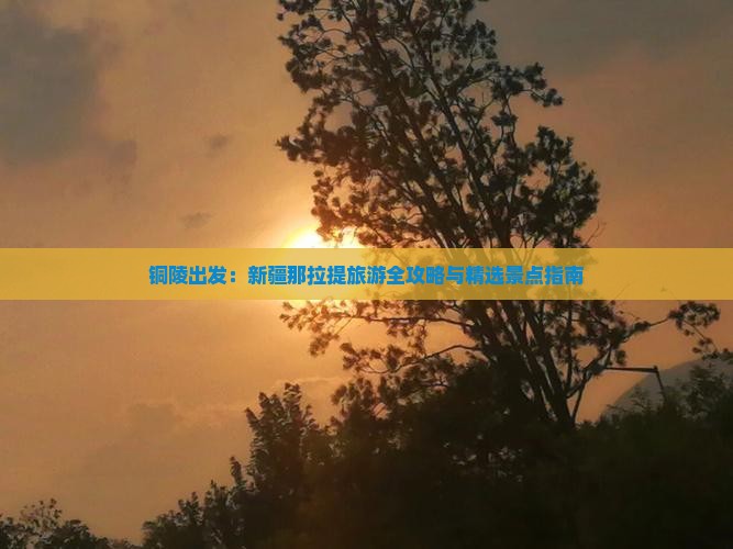 铜陵出发：新疆那拉提旅游全攻略与精选景点指南