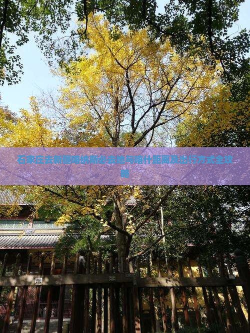石家庄去新疆喀纳斯必去地与喀什距离及出行方式全攻略
