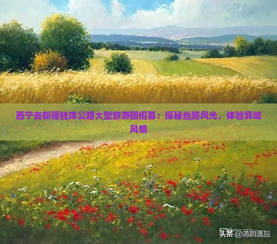 西宁去新疆独库公路大型旅游团招募：探秘丝路风光，体验异域风情