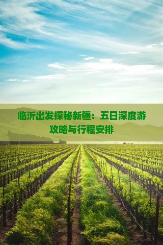 临沂出发探秘新疆：五日深度游攻略与行程安排