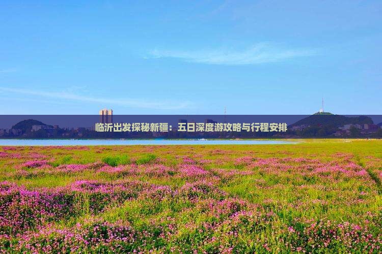 临沂出发探秘新疆：五日深度游攻略与行程安排