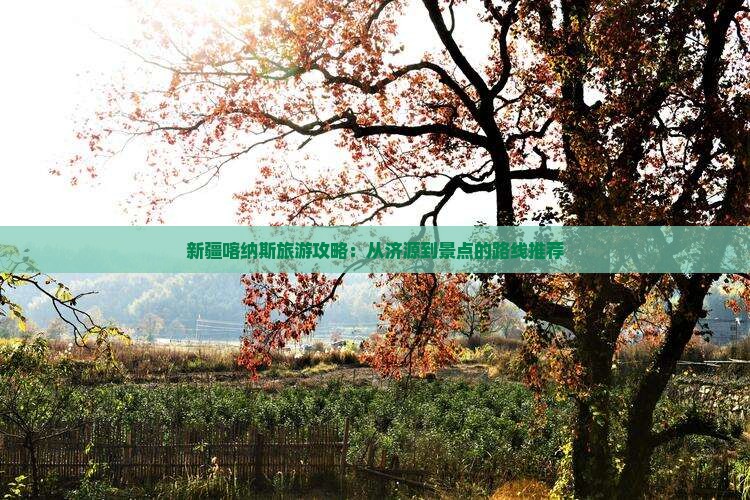 新疆喀纳斯旅游攻略：从济源到景点的路线推荐