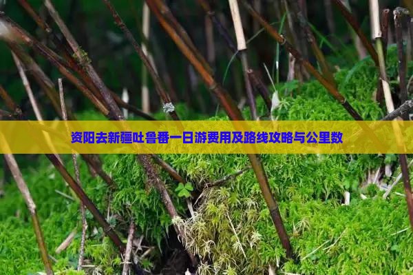 资阳去新疆吐鲁番一日游费用及路线攻略与公里数