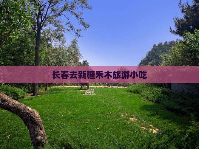 长春去新疆禾木旅游小吃