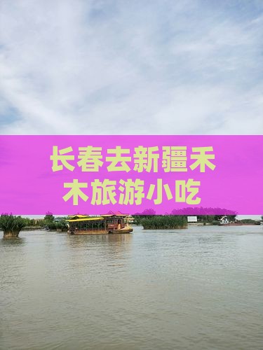 长春去新疆禾木旅游小吃