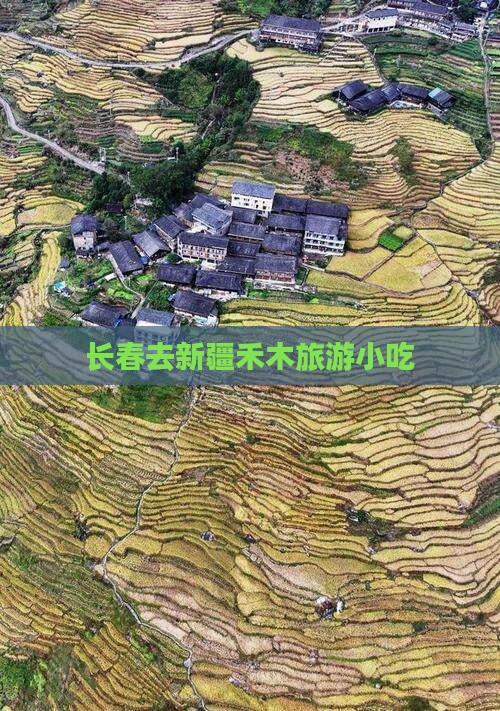 长春去新疆禾木旅游小吃