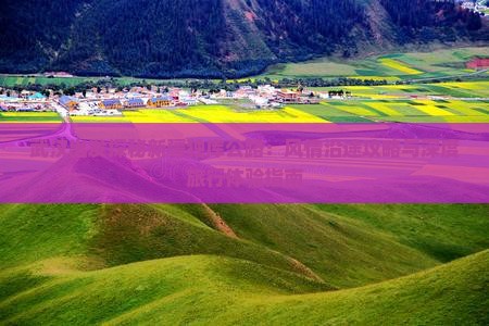 武汉出发探秘新疆独库公路：风情沿途攻略与深度旅行体验指南