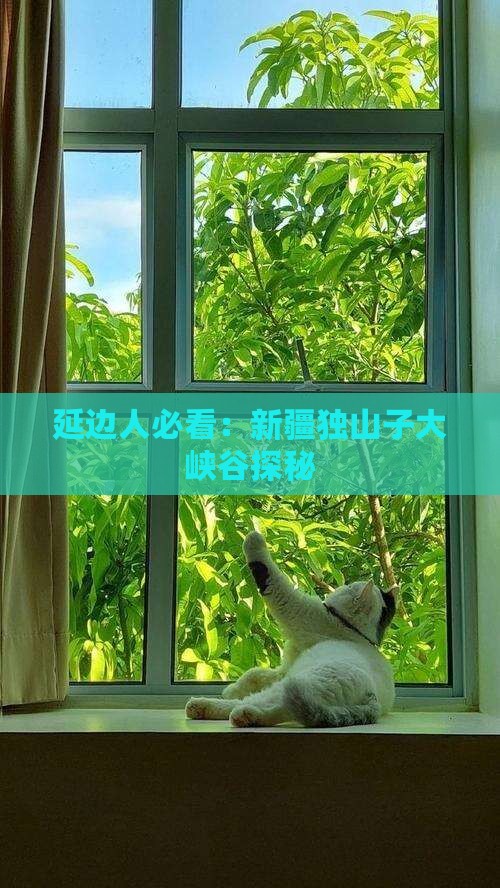 延边人必看：新疆独山子大峡谷探秘
