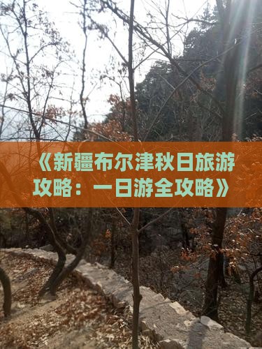 《新疆布尔津秋日旅游攻略：一日游全攻略》