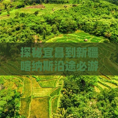 探秘宜昌到新疆喀纳斯沿途必游景点