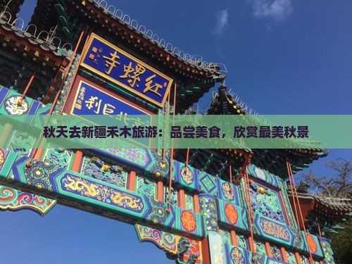 秋天去新疆禾木旅游：品尝美食，欣赏最美秋景